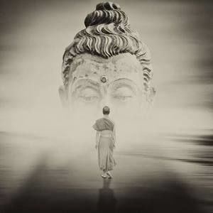 Meet your Posher, Mai trung đức